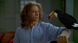 George Prosto z Drzewa 2 / George Of The Jungle 2 (2003) PL.DVDRip.XviD-MaRcOs Lektor PL George Prosto z Drzewa 2 / George Of The Jungle 2 (2003) PL.DVDRip.XviD-MaRcOs Lektor PL